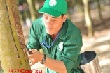 Hội thi Thợ giỏi cấp ngành dự kiến tại NT Minh Hưng (Bình Long)